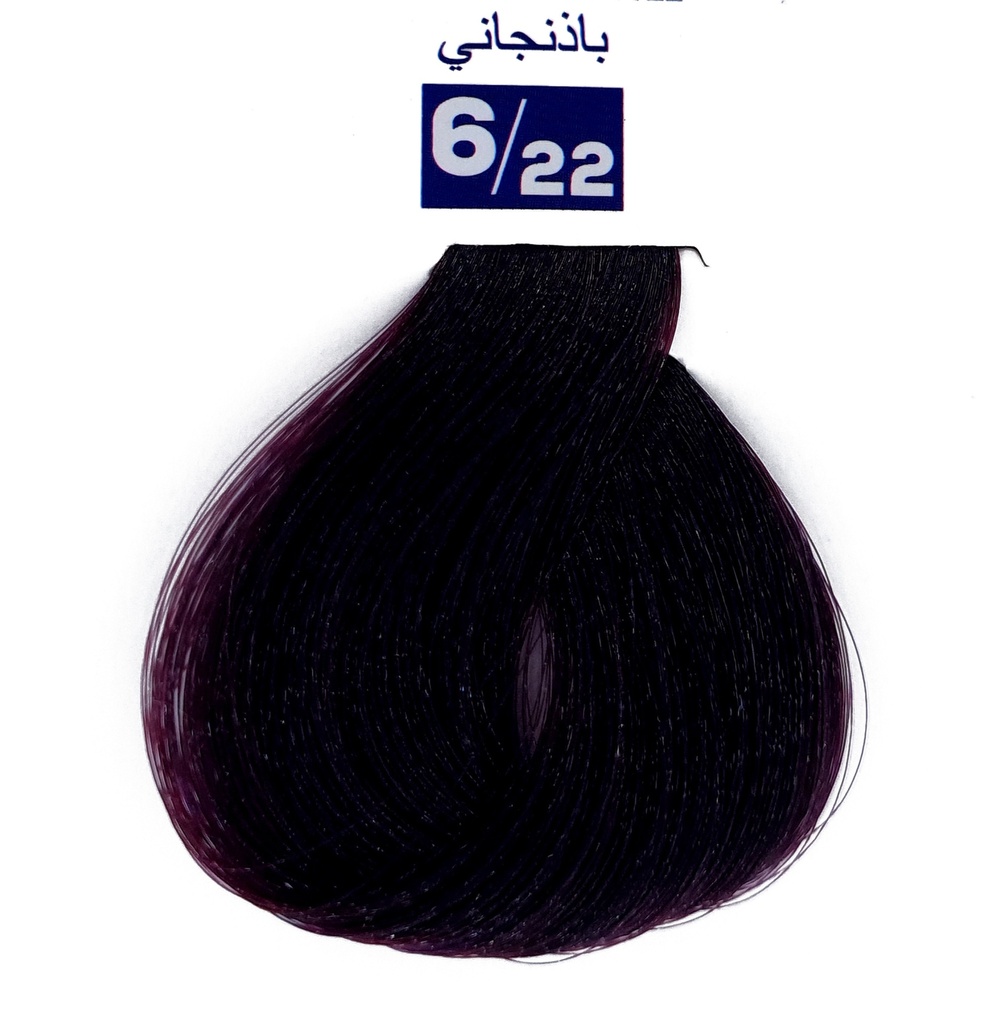 Colorex Coloration n° 6.22