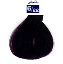 Colorex Coloration n° 6.22