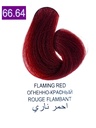 Elea Max-Kit Coloration n°66.64