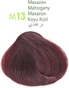 M Beauty Coloration n° 13