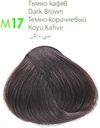 M Beauty Coloration n° 17