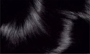 Excellence Coloration n°1