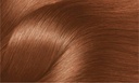 Excellence Coloration n°7/1
