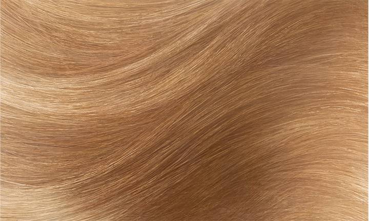 Excellence Coloration n°8