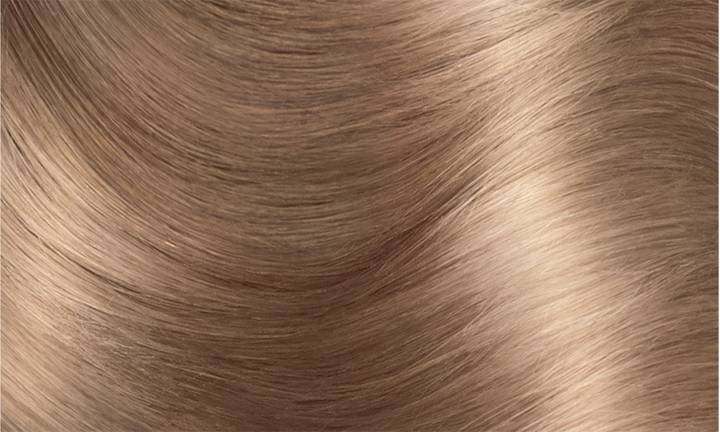 Excellence Coloration n°8/1
