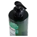 Botanicals Shampoing Gingembre 