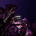 P2095023_1.webp