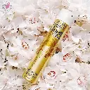 Untitled design (2).webp