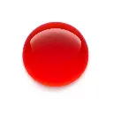 5000562.webp