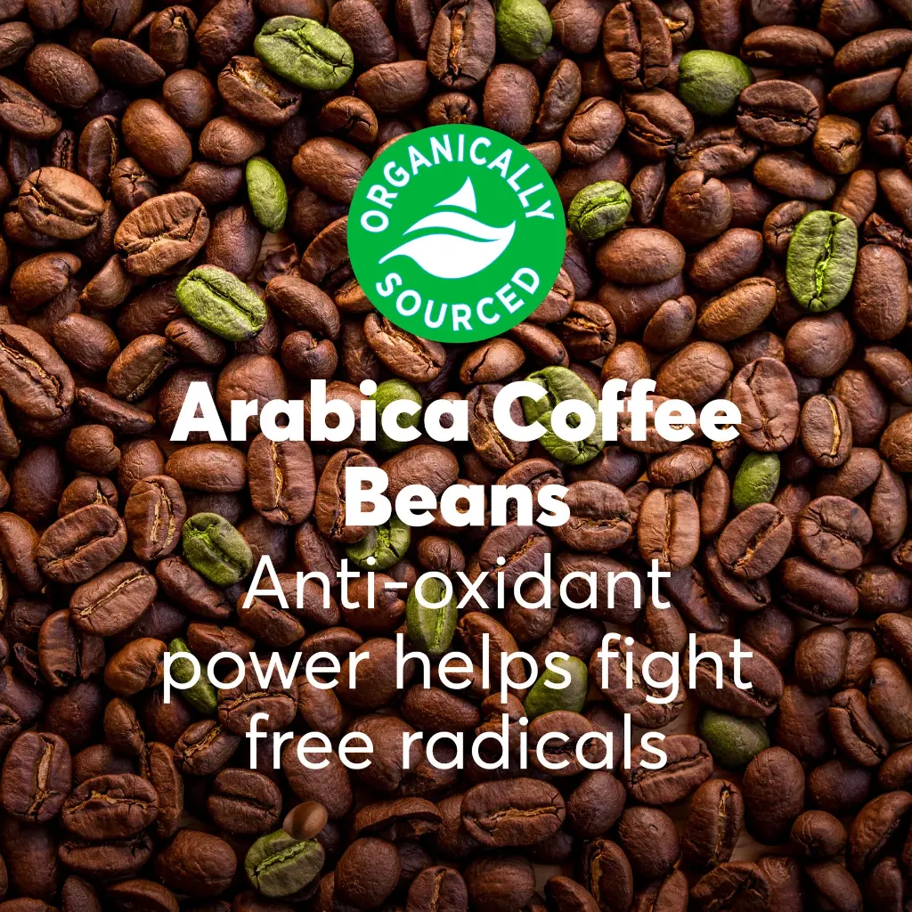Coffee-FW-Banner-4.webp