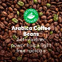Coffee-FW-Banner-4.webp