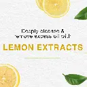 OilControlFW-Lemon_036f6941-4f15-4969-8dfb-50040e1d25f7_1800x1800.webp