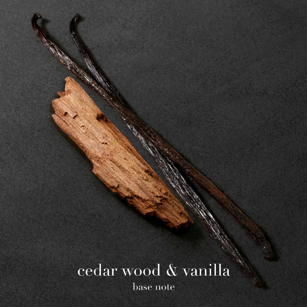 ga_2022_ea-swy-absolutely_ingredients_cedar_vanilla_1x1_text_rvb-3000_1.webp