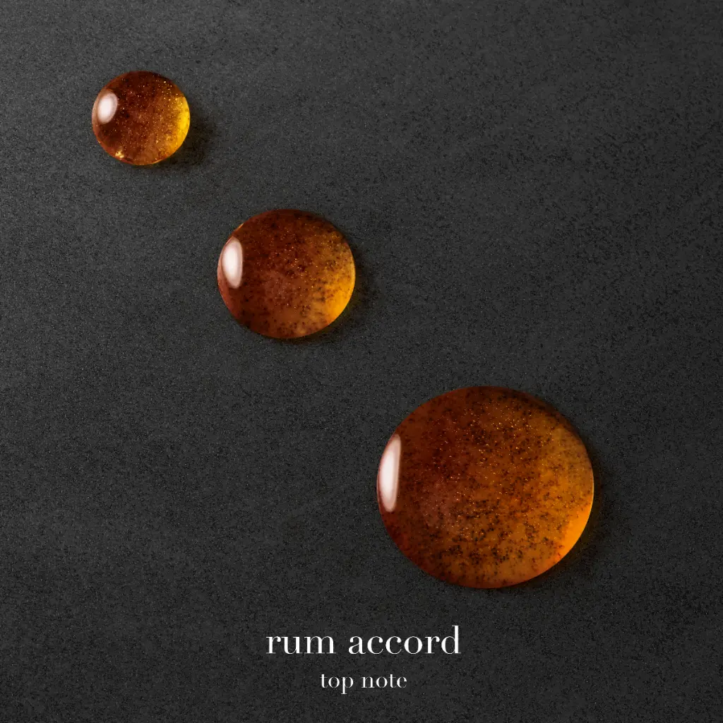 ga_2022_ea-swy-absolutely_ingredients_rum_1x1_text_rvb-3000_1.webp