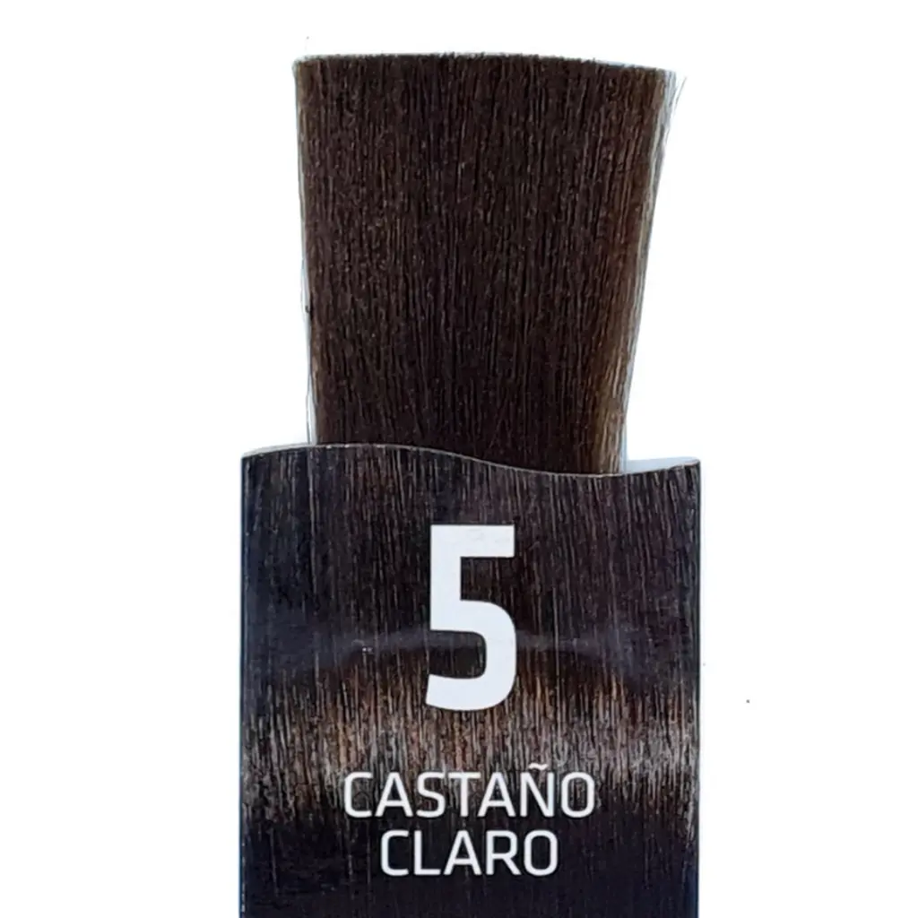 Untitled design (7).webp