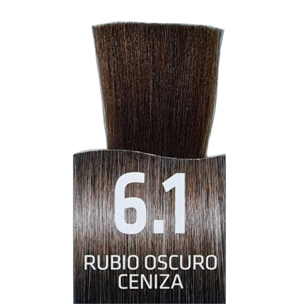 Untitled design (1).webp