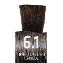 Untitled design (1).webp