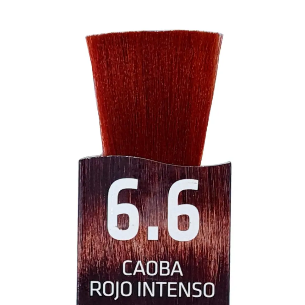 Untitled design (3).webp