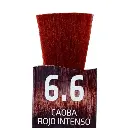 Untitled design (3).webp