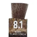 Untitled design (11).webp