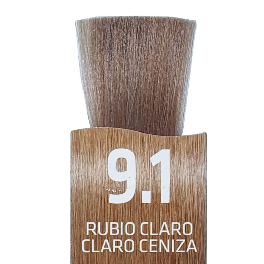 Untitled design (13).webp