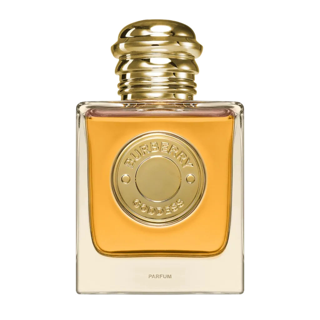 Untitled design (3).webp