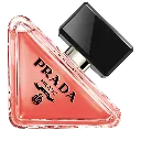 Untitled design (17).webp