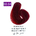 Untitled design (4).webp
