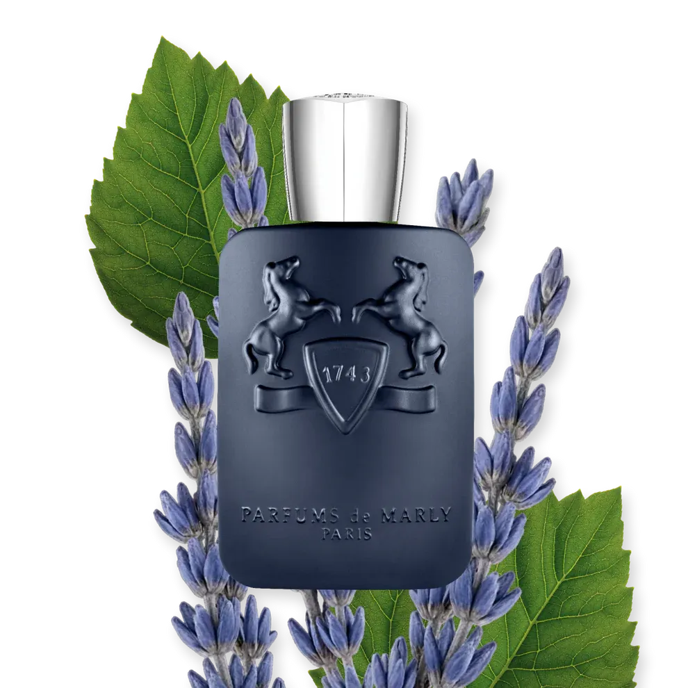 LAYTON-PERFUME-125-PACK3-PERFUME-125-PACK3-1x1_1_184b4bee-0f4b-49db-a629-c00623ea9cd6.webp
