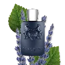 LAYTON-PERFUME-125-PACK3-PERFUME-125-PACK3-1x1_1_184b4bee-0f4b-49db-a629-c00623ea9cd6.webp