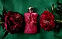 OfxQfmlIJsvAiAd6.webp