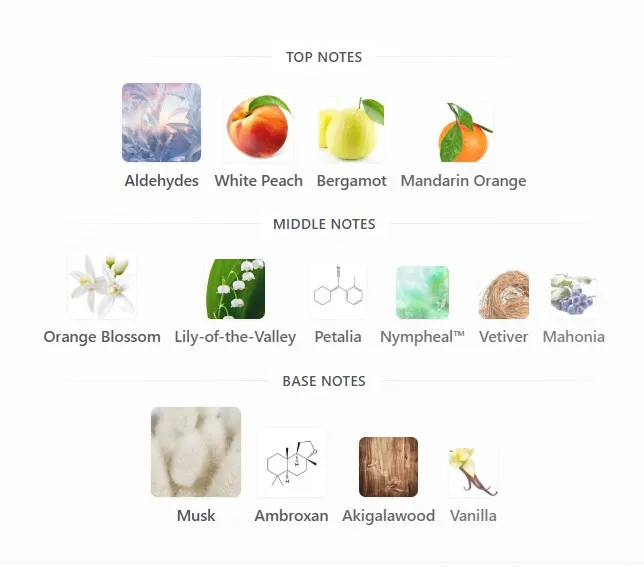 Screenshot 2026-06-02 220144.webp