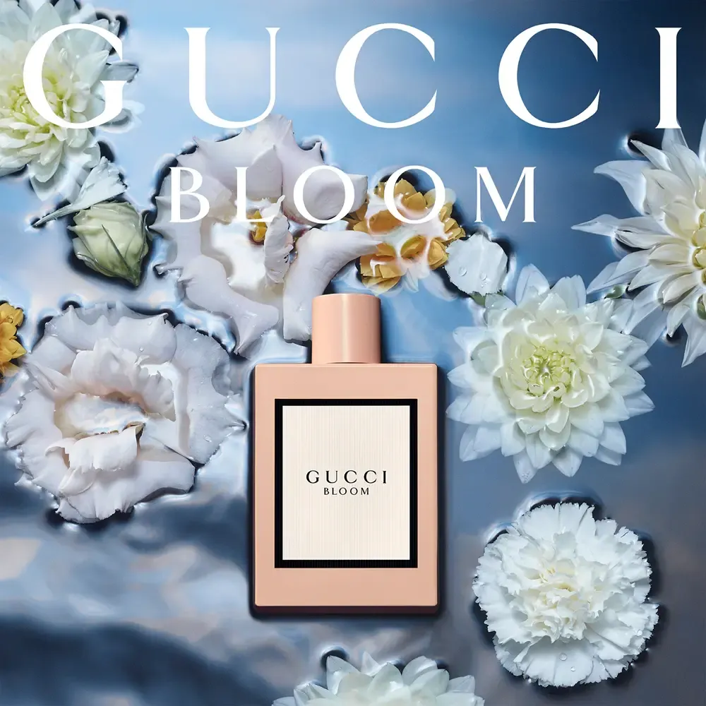 bloom___250305.webp