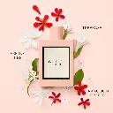 bloom___250623.webp