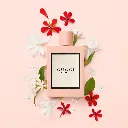 bloom___250314.webp