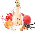i-want-choo___240716.webp