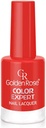 Golden Rose Color Expert Nail polish 24