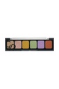 Golden Rose Camouflage & Concealer