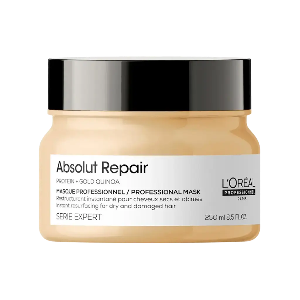 [971039] L'Oreal Serie Expert Mask Absolut Repair 250ml