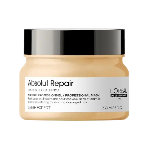 [971039] L'Oreal Serie Expert Mask Absolut Repair 250ml